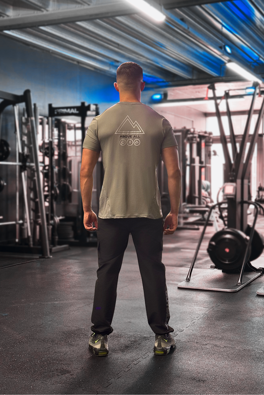 ABOVE ALL V1 T-SHIRT IN GREY